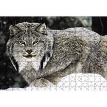 Cakapuzzle Doğada Kanada Vaşağı 120 Parça Ahşap Puzzle