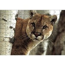 Cakapuzzle Doğadaki Puma 120 Parça Ahşap Puzzle