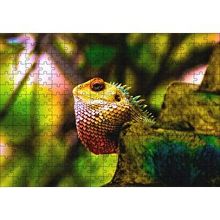 Cakapuzzle Doğal Yaşamda İguana 120 Parça Ahşap Puzzle