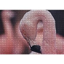 Cakapuzzle Flamingonun Zarafeti 120 Parça Ahşap Puzzle