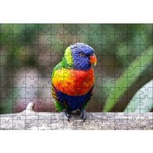 Cakapuzzle Gökkuşağı Lorikeet Papağanı 120 Parça Ahşap Puzzle