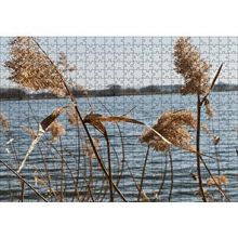 Cakapuzzle Göl Kıyısında Sazlar 120 Parça Ahşap Puzzle