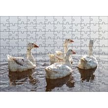 Cakapuzzle Gölde Süzülen Kazlar ve Güneş Işıkları Puzzle