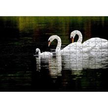 Cakapuzzle Gölde Yüzen Bir Çift Kuğu ve Yavruları 120 Parça Ahşap Puzzle