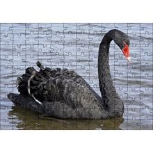 Cakapuzzle Göldeki İhtişamlı Siyah Kuğu 120 Parça Ahşap Puzzle