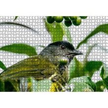 Cakapuzzle Gri Sarı Kuş ve Dalda Yeşil Meyveler 120 Parça Ahşap Puzzle
