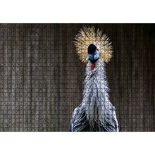 Cakapuzzle Gri Taçlı Turna Kuşu Yakın Çekim 120 Parça Ahşap Puzzle