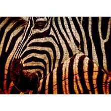 Cakapuzzle Günbatımında Zebra Desenleri Yakın Çekim 120 Parça Ahşap Puzzle