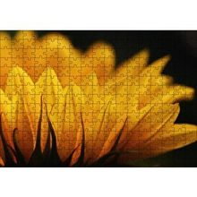 Cakapuzzle Günebakan Çiçeği Makro Çekim 120 Parça Ahşap Puzzle