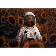 Cakapuzzle Günebakan Tarlasında Astoronot Görseli 120 Parça Ahşap Puzzle