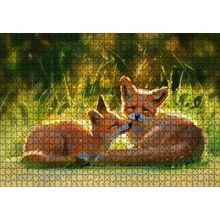 Cakapuzzle Güneşlenen İki Kızıl Tilki Görseli 120 Parça Ahşap Puzzle