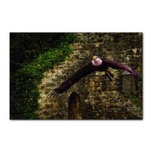 Cakapuzzle Havada Süzülen Kartal 120 Parça Ahşap Puzzle