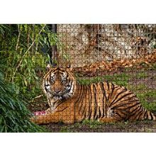 Cakapuzzle Hayvanat Bahçesinde Kaplan 120 Parça Ahşap Puzzle