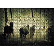 Cakapuzzle Horses 120 Parça Ahşap Puzzle