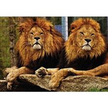 Cakapuzzle İki Aslan 120 Parça Ahşap Puzzle