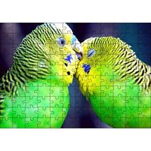Cakapuzzle İki Muhabbet Kuşu Görseli 120 Parça Ahşap Puzzle