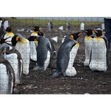 Cakapuzzle İmparator Penguenleri ve Yavru 120 Parça Ahşap Puzzle