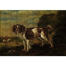 Cakapuzzle Kahverengi Beyaz Çoban Köpeği 255 Parça Puzzle
