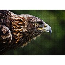 Cakapuzzle Kahverengi Kartal Keskin Bakışlar 255 Parça Puzzle