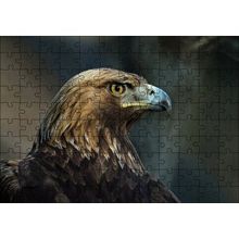 Cakapuzzle Kahverengi Kartal Mavi Gagalı 255 Parça Puzzle