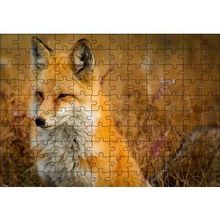 Cakapuzzle Kahverengi Tilki ve Çayırlar 255 Parça Puzzle