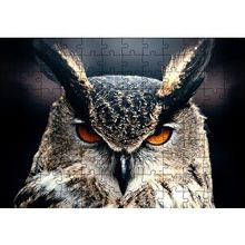 Cakapuzzle Kalın Kaşlı Baykuş Yakın Plan 120 Parça Ahşap Puzzle
