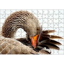 Cakapuzzle Kanadını Temizleyen Kahverengi Kaz 120 Parça Puzzle