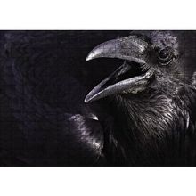 Cakapuzzle Karga Açık Gagalı 120 Parça Ahşap Puzzle