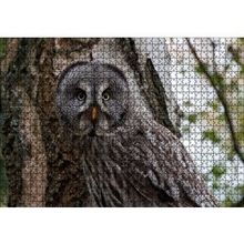 Cakapuzzle Karlı Ormanda Ağacın Önündeki Baykuş 120 Parça Ahşap Puzzle