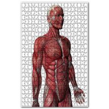 Cakapuzzle Kas Anatomi Yan Görünüm Ahşap 500 Parça Puzzle