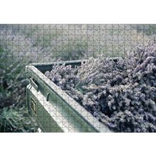 Cakapuzzle Kasada Lavantalar 255 Parça Puzzle