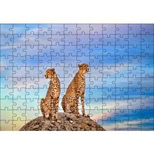 Cakapuzzle Kayalığın Üzerindeki Çita Çifti 255 Parça Puzzle