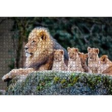 Cakapuzzle Kayanın Üzerinde Erkek Aslan ve Sevimli Yavruları 120 Parça Ahşap Puzzle