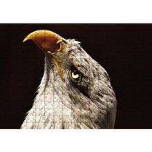 Cakapuzzle Kel Kartal Kuşu 120 Parça Ahşap Puzzle