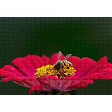 Cakapuzzle Kırmızı Çiçekten Polen Toplayan Balarısı 120 Parça Ahşap Puzzle
