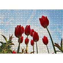 Cakapuzzle Kırmızı Lale Bahçesi Görseli 120 Parça Ahşap Puzzle