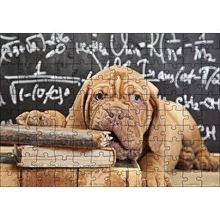 Cakapuzzle Kitapları Dişleyen Kahverengi Sharpy Yavrusu 120 Parça Ahşap Puzzle