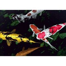 Cakapuzzle Koi Balıkları Yukarıdan Görünüm 120 Parça Ahşap Puzzle