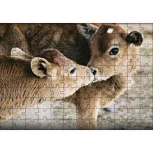 Cakapuzzle Koklaşan Kahverengi Buzağılar Görseli 120 Parça Ahşap Puzzle