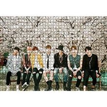 Cakapuzzle Kore Pop Grubu Bts 255 Parça Puzzle