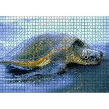 Cakapuzzle Kumsala Çıkan Caretta Caretta 120 Parça Ahşap Puzzle