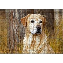 Cakapuzzle Kuru Otların Arasındaki Labrador 120 Parça Ahşap Puzzle