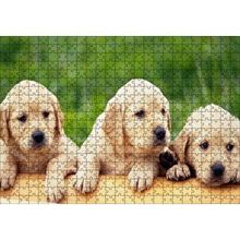 Cakapuzzle Kütüğün Üzerinde Üç Sevimli Labrador 120 Parça Ahşap Puzzle