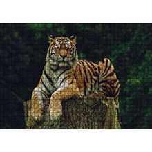 Cakapuzzle Kütüğün Üzerindeki Bengal Kaplanı 120 Parça Ahşap Puzzle