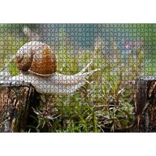Cakapuzzle Kütükten Otların Üzerine İnen Salyangoz 120 Parça Ahşap Puzzle
