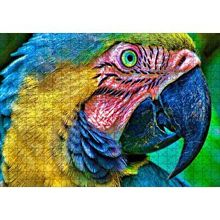 Cakapuzzle Macaw Papağanı Rengarenk Başı Yakın Plan 120 Parça Ahşap Puzzle