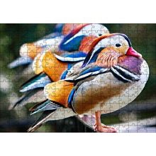 Cakapuzzle Mandarin Ördekleri 120 Parça Ahşap Puzzle