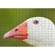 Cakapuzzle Mavi Gözlü Kaz Yakın Plan 120 Parça Ahşap Puzzle