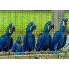 Cakapuzzle Mavi Macaw Papağanları 120 Parça Ahşap Puzzle