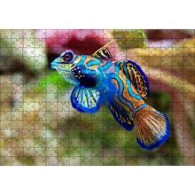 Cakapuzzle Mavi Mandarin Balığı 120 Parça Ahşap Puzzle